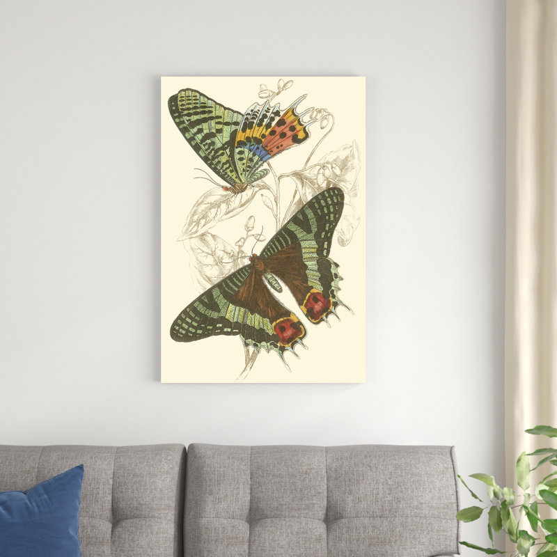 Jardine Butterflies IV, H 36 po x l 24 po x P 1 po