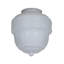 Novelty Lamp Shade