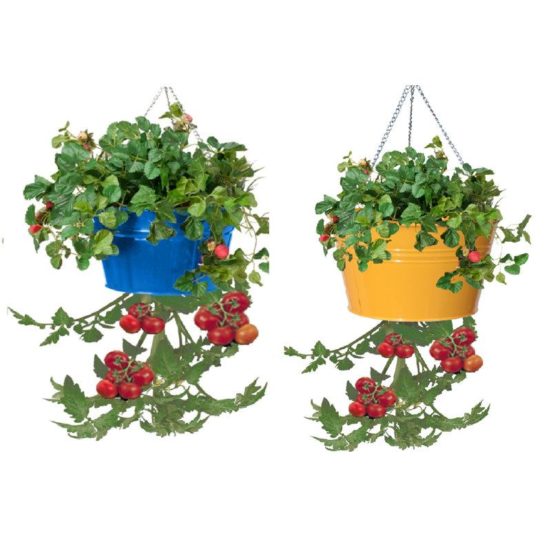 Pot à fleurs suspendu en métal Christianne, Bleu / safran