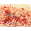Field Of Flowers by Luigi Florio - Wrapped Canvas Art Prints-503595167
