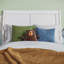 Lit plateforme en bois massif Fitzsimmons avec pied de lit et gigogne assortis-1752791535-1752791441