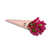 Fuschia