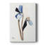 FLORAL Series Dxxxi - galerie Cavas sur mesure-118067969