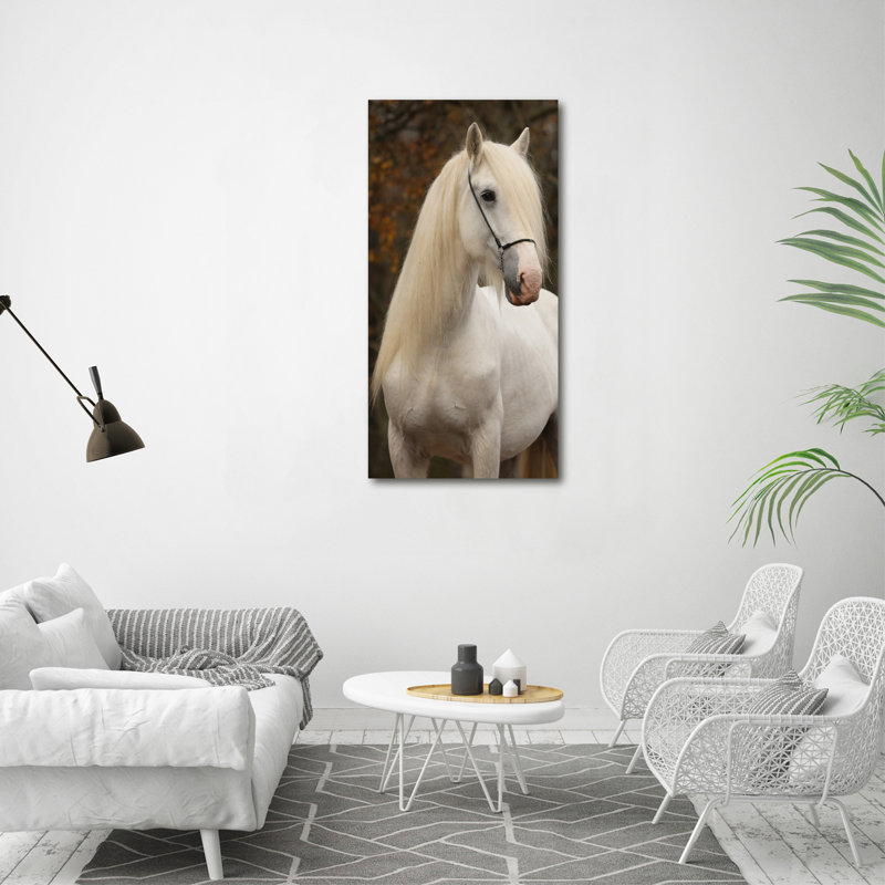 White Horse - Wrapped Canvas Print