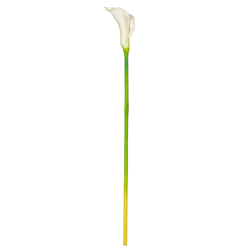 Cauldwell Calla Lily Stems, White, 26" H x 3" W x 3" D