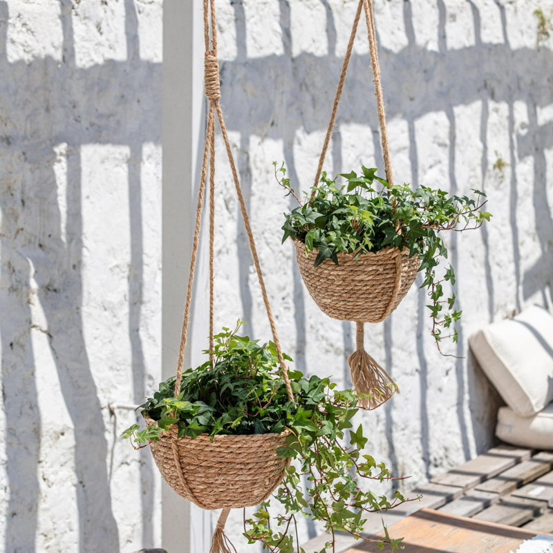 Pot à fleurs suspendu Tierney, Brun, H 5,5 po x l 9 po x P 9 po