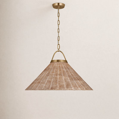 Darnaja Single Light Rattan Steel Dimmable Pendant