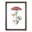Amanita Muscaria Mushroom Illustration - Single Picture Frame Painting-55544553-55544554