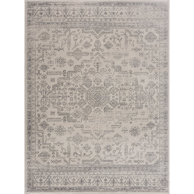 Cobien Traditional Performance Gray Area Rug