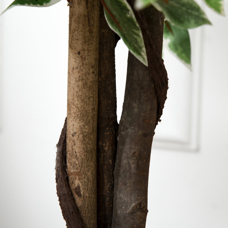 Charleston 160cm Faux Ficus Tree in Pot