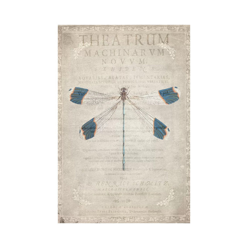 Dragonfly Book I by Kimberly Allen - Print on Canvas, Wrapped Canvas, 45.72cm H x 30.48cm W x 1.91cm D