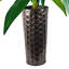 4-Foot Dracaena in Patterned Copper Planter