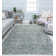 Performance Ombre Indoor Rug