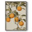 Impression florale vintage encadrée XXVI - bois massif-718982177