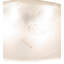 Novelty Lamp Shade
