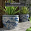 Landscape Vase-1118157679