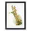 Magnolia Flowers Illustration Tab.84 by Frederick Sander - Picture Frame Art Print-55760905-55760902