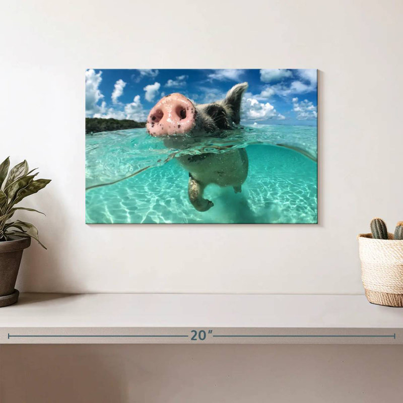 Brampt Swimming Pig, 8" H x 12" W
