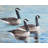 Rustic Bird Bedroom Placemat | Canada Geese Decor | Polyester