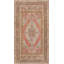 Oriental Area Rug