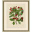 Wilts Red Berries II Framed Graphic Art
