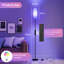 155 CM LED Floor Lamp With Bulb, Reading Lamp With Remote Control, Standing Light For Bedroom-1146457838-1146468636