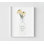 Fleurs de bouteille de lait, affiche de fleur jaune, impression d'illustration florale, décor délicat de style maison de campagne, œuvre de table de petit déjeuner