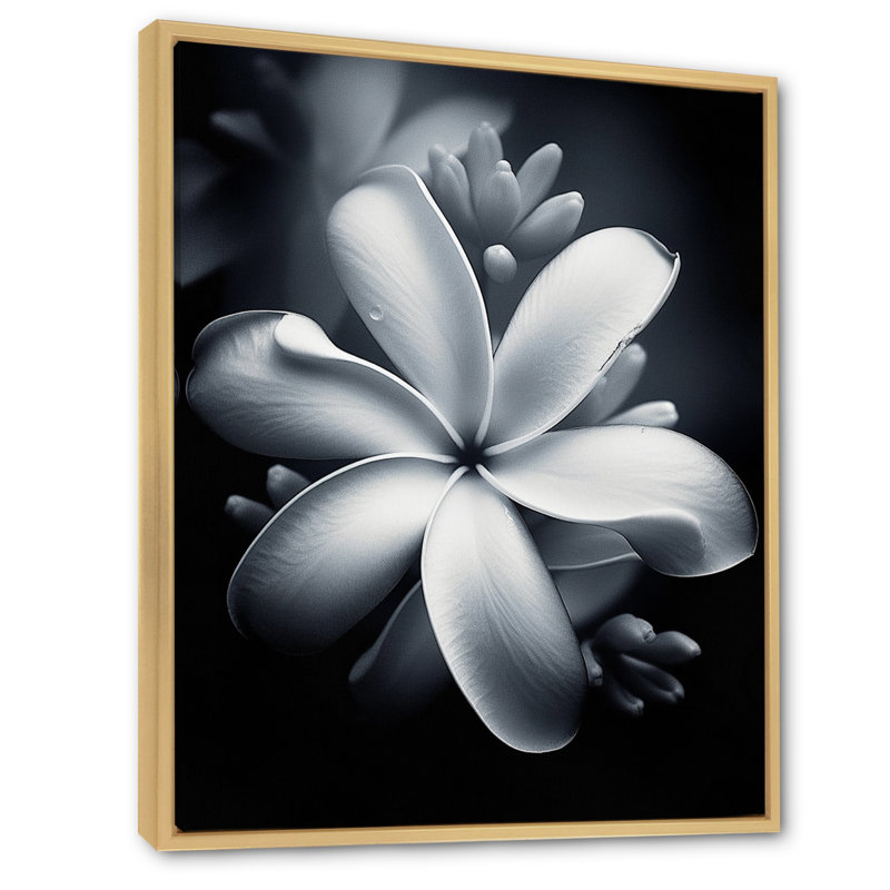 Blanc et noir exotique Plumeria Bloom II, Cadre naturel flottant, H 32 po x l 16 po x P 1 po
