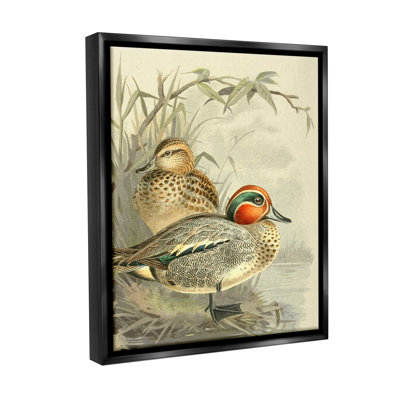 «Ducks with Pond Botanicals», art mural sur toile flottante par Gail Fraser