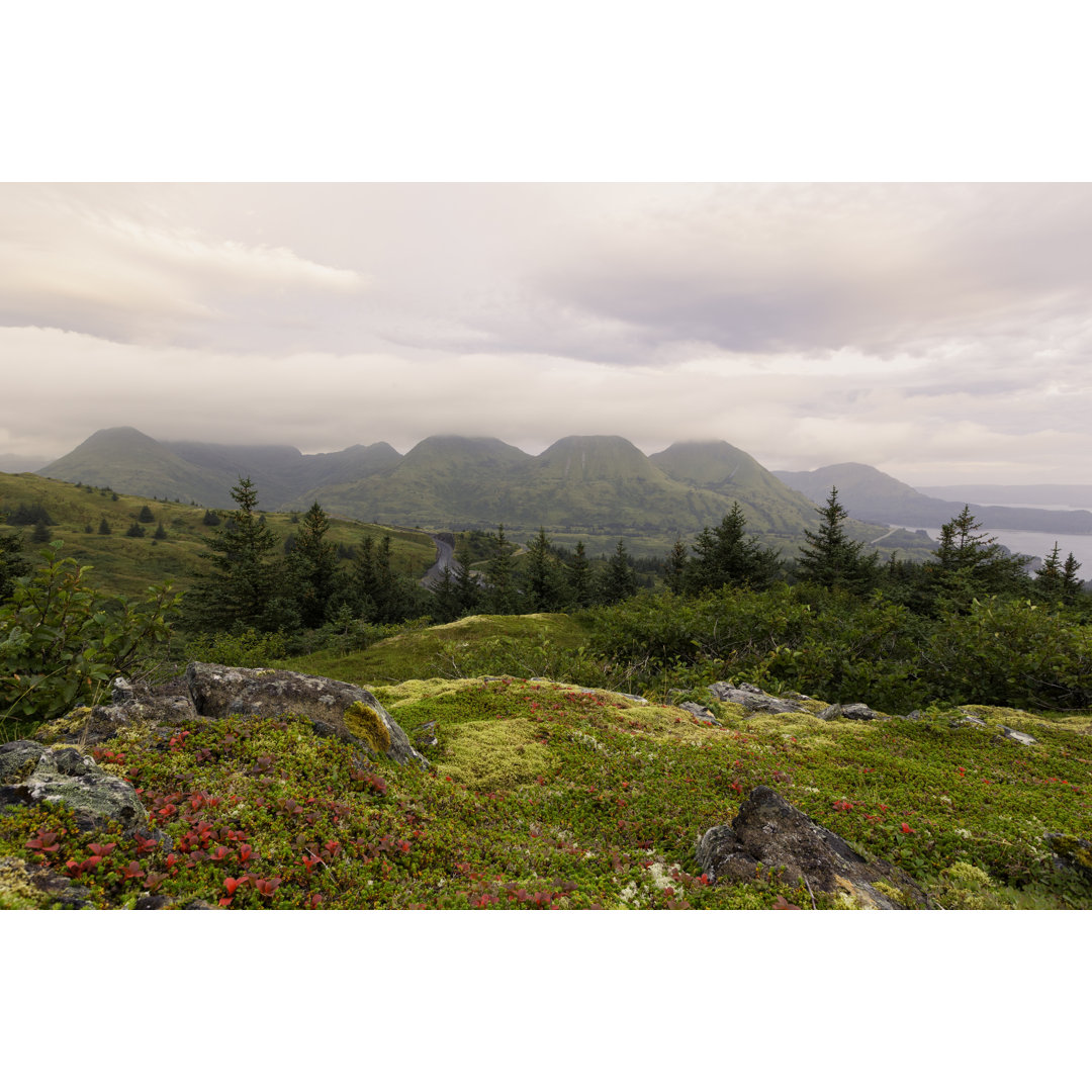 Kodiak Island Sonnenaufgang von Justinreznick - Druck