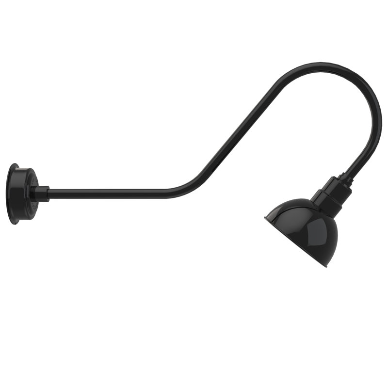 Dipkarpaz LED Wall Light, 12" H x 8" W x 36" D, Black