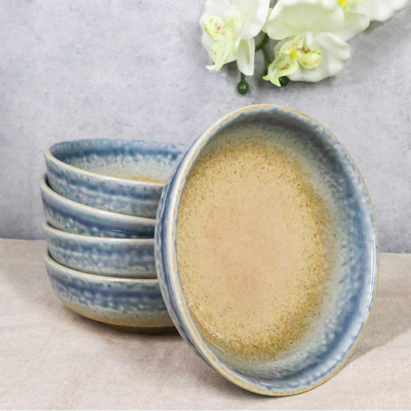 Ensemble de 5 assiettes creuses ou profondes de 10 oz