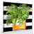 Wrapped Canvas selected