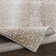 Angelick Camel/Light Gray Area Rug