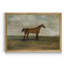A Bay Hunter - Reproduction d'art sur toile encadrée-380486456-380486461