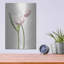 «Light Tulips III» par Debra Van Swearingen-1985103901