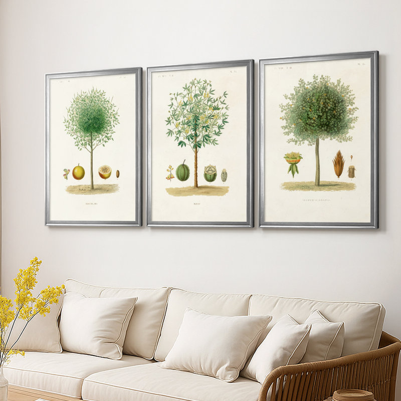 Arbre antique avec fruit VII - Toile tendue avec châssis sur mesure - 3 pièces, H 15 po x l 19 po, Argent argent