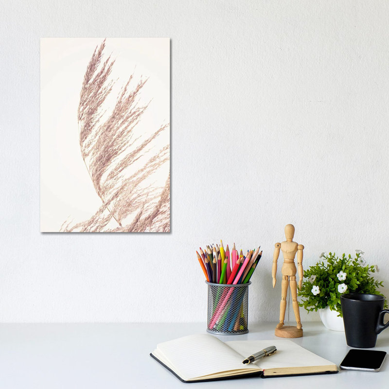 Pampas Grass II by Sisi & Seb - Gallery-Wrapped Canvas Giclée on Canvas, Canvas, 20.32 cm H x 30.48 cm W