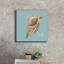 " Chill Seashell " by Cindy Jacobs-1753495750