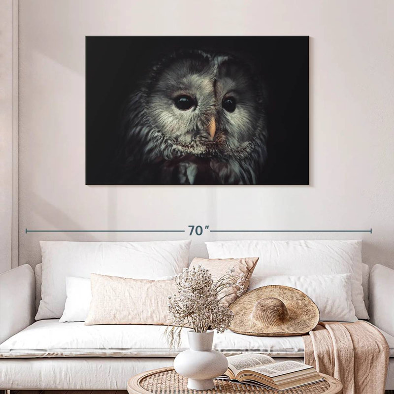 Brampt Lonely Night Owl, 30" H x 45" W