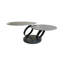 Ashneel Extendable Pedestal Coffee Table