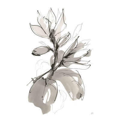 Magnolia I