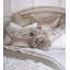 Isolde Lumbar Pillow Cover & Insert