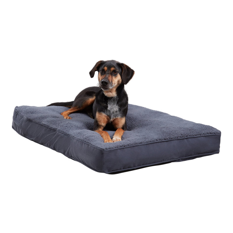 Lit pour chien avec coussin de soutien, Moyen (l 42 po x P 30 po x H 4 po), Acier bleu