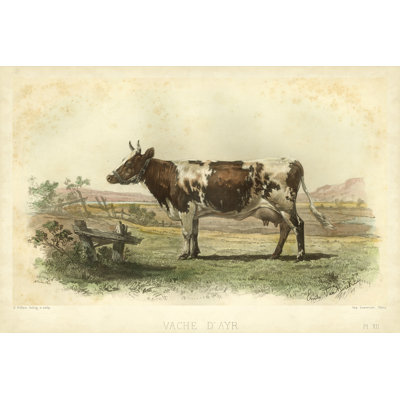 Vache Dayr