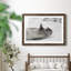 Laughing Seal - photographie avec cadre photo-1242266241-1242266242