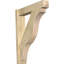 Sapin Douglas-31642064-114191129