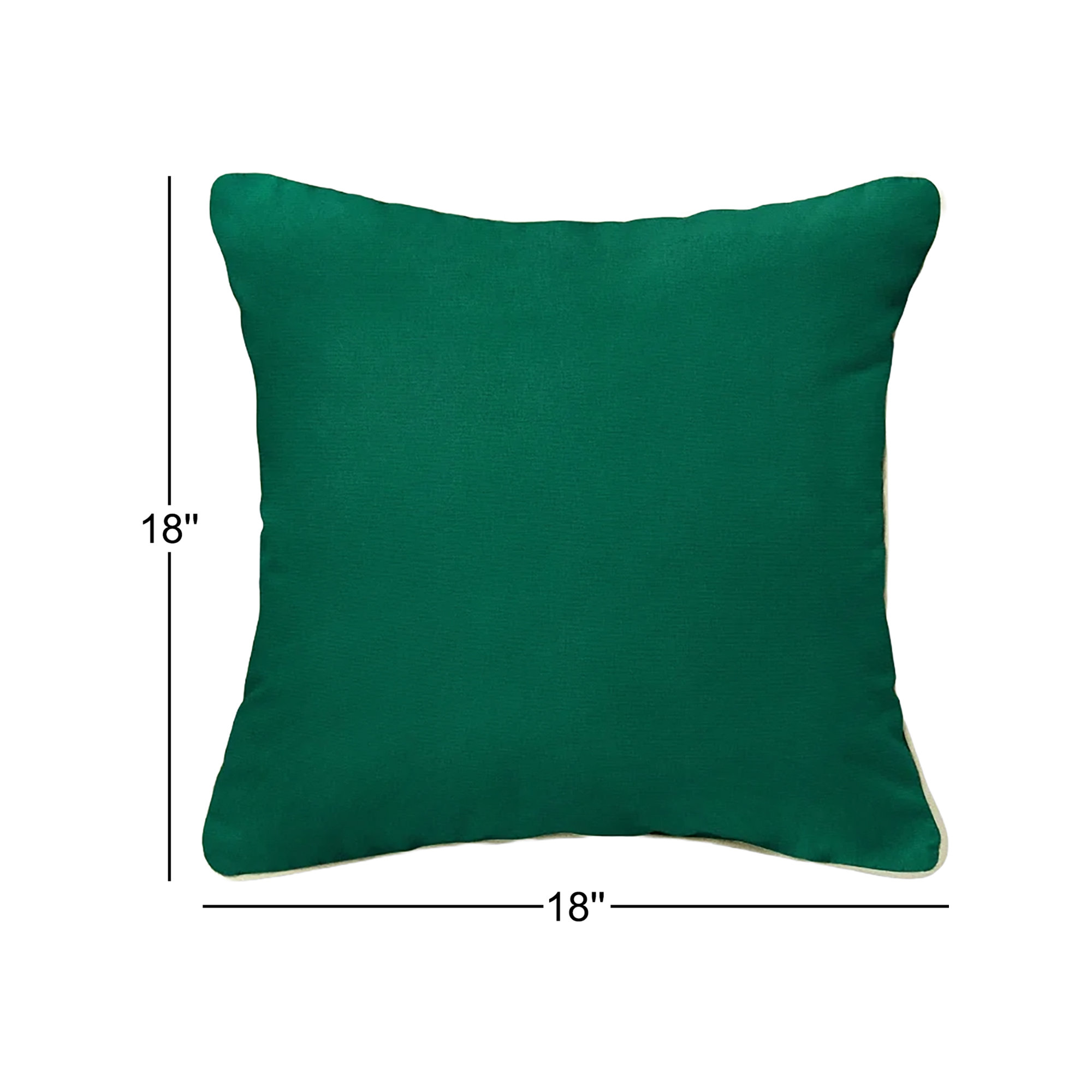 Estrada Indoor/Outdoor Throw Pillow, 18" x 18", Green