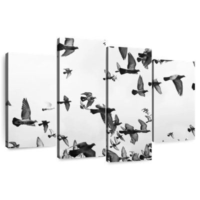 Troupeau de pigeons Brampt