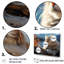 Chat, Scottish Fold Serenity - art mural sur toile-95895448-95895449
